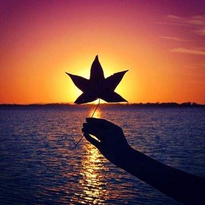 博鱼·体育下载入口