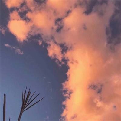 KU体育BET9注册截图