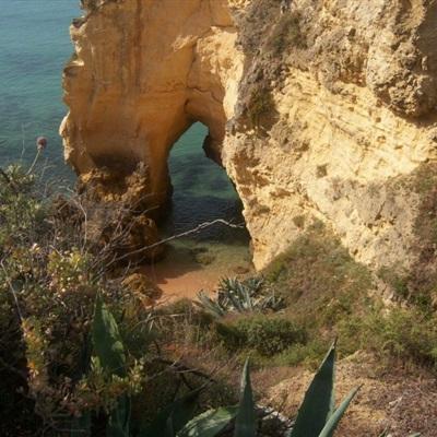 博鱼·体育下载入口截图